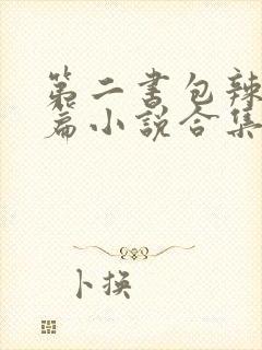 第二书包辣网短篇小说合集