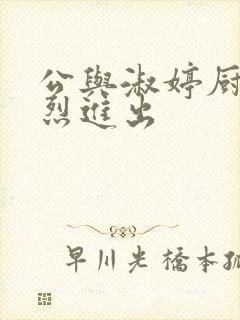 公与淑婷厨房猛烈进出