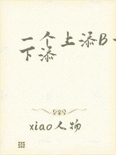 一个上添B一个下添