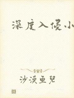 深度入侵小说
