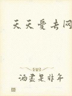 天天爱去网