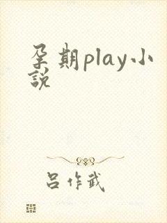 孕期play小说