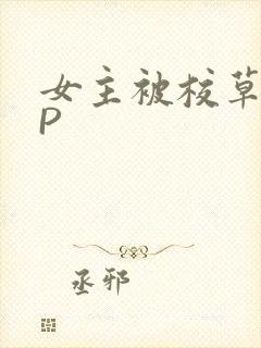 女主被校草们NP