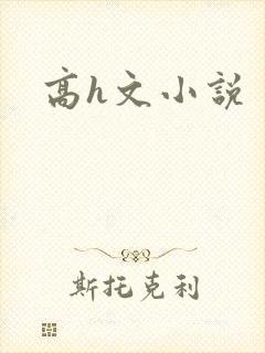 高h文小说
