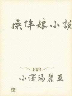 操伴娘小说封面