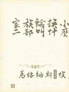 家族轮换小说第二部叫什么名字