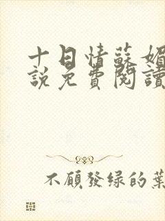 十日情苏媚的小说免费阅读全文