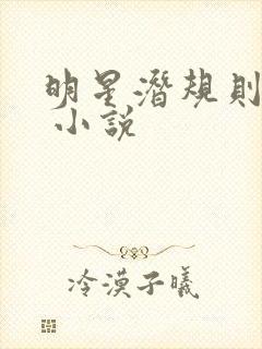 明星潜规则之皇 小说