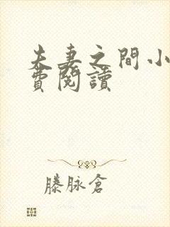 夫妻之间小说免费阅读