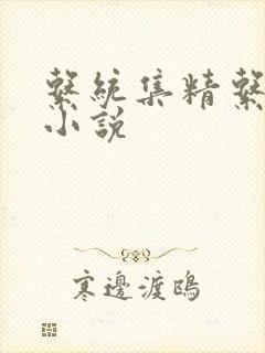 系统集精系统 小说