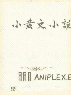 小黄文小说