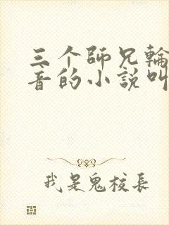 三个师兄轮流上音的小说叫什么