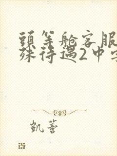 头等舱客服的特殊待遇2中字