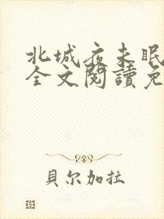 北城夜未眠小说全文阅读免费