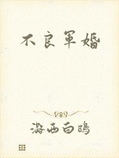 不良军婚封面