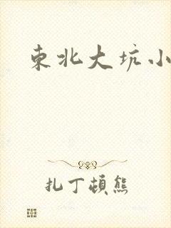 东北大坑小说
