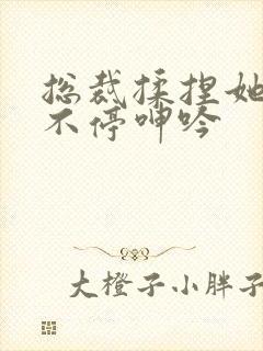 总裁揉捏她两乳不停呻吟