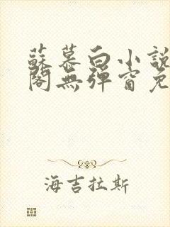 苏慕白小说笔趣阁无弹窗免费阅读