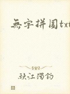 无字拼图txt封面