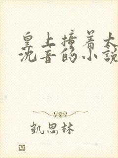 皇上撞着太子妃沈音的小说叫什么