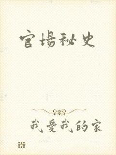官场秘史