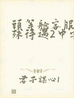 头等舱客服的特殊待遇2中字