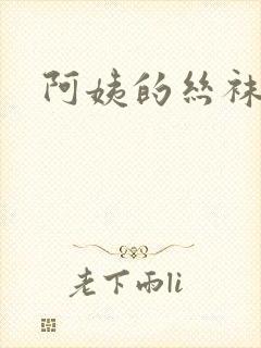 阿姨的丝袜小说