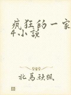 疯狂的一家ps4小说