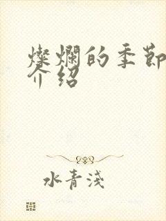 灿烂的季节剧情介绍封面