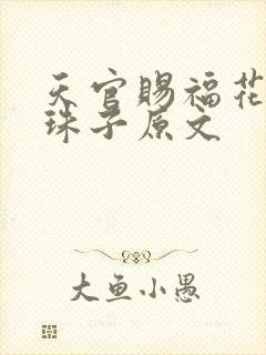 天官赐福花怜塞珠子原文