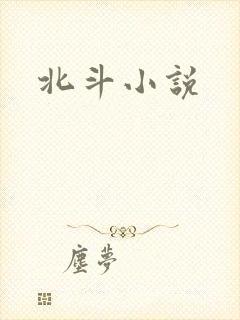 北斗小说