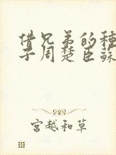 借兄弟的种生孩子周楚臣苏糖