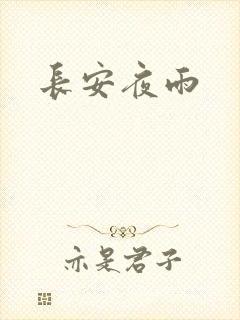 长安夜雨