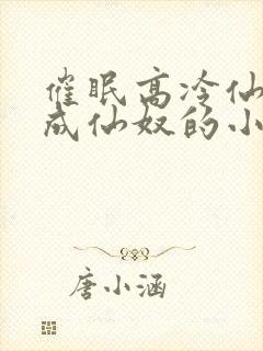 催眠高冷仙奴变成仙奴的小说