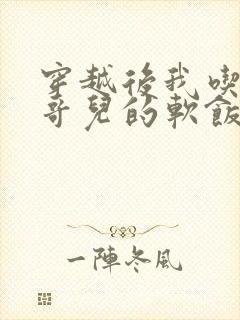 穿越后我吃到了哥儿的软饭炉山灰