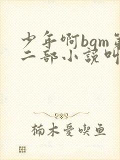 少年啊bgm第二部小说叫什么