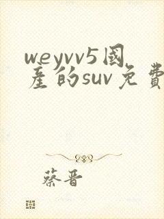weyvv5国产的suv免费