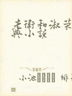 老卫和淑荣的经典小说