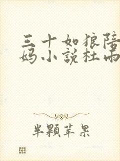 三十如狼陪读妈妈小说杜雨馨