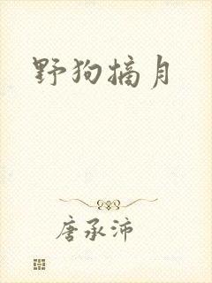 野狗摘月