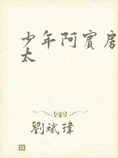 少年阿宾房东太太