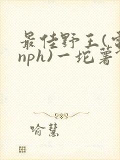 最佳野王(电竞nph)一坨薯饼