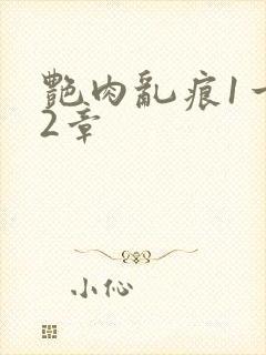 艳肉乱痕1一12章