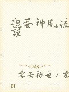 混蛋神风流史小说