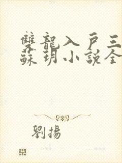 双龙入户三人行苏玥小说全文阅读