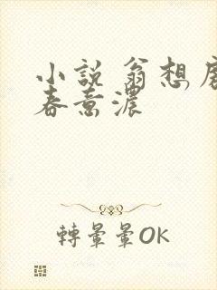 小说 翁想房中春意浓