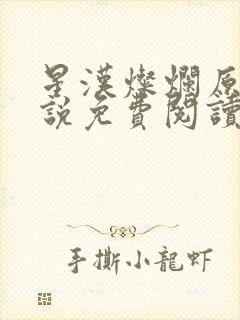 星汉灿烂原著小说免费阅读