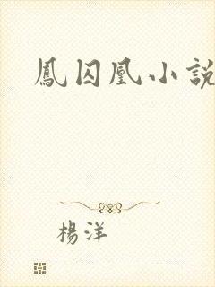 凤囚凰小说
