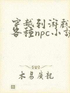 穿越到游戏里和各种npc小说