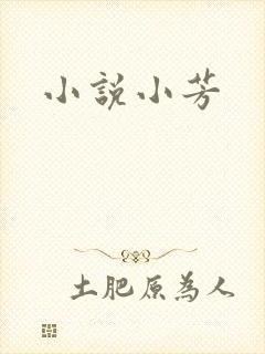 小说小芳